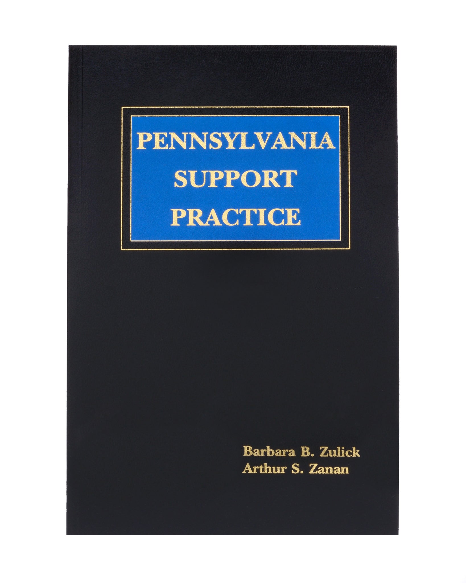 Pennsylvania Support Practice Handbook (includes book + digital downlo ...